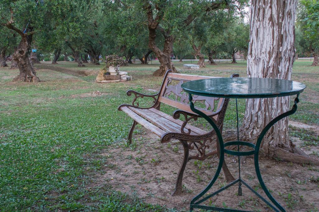 Dimaras Apartments Vasilikí エクステリア 写真