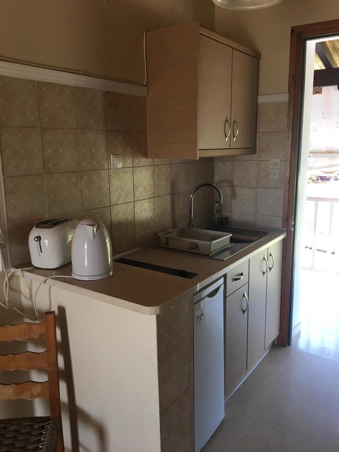 Dimaras Apartments Vasilikí エクステリア 写真